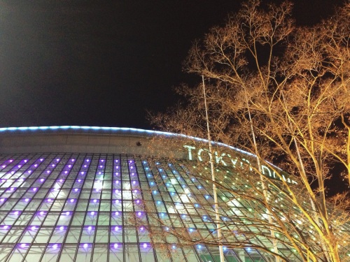 Tokyo Dome, December, at Night